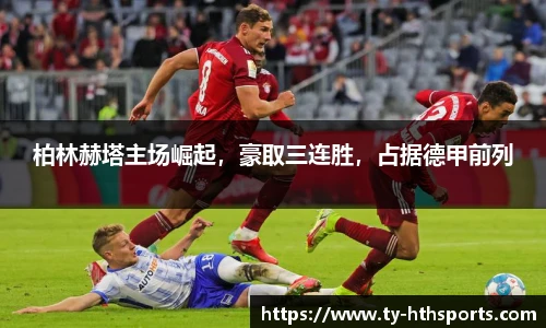 华体会hth登录入口